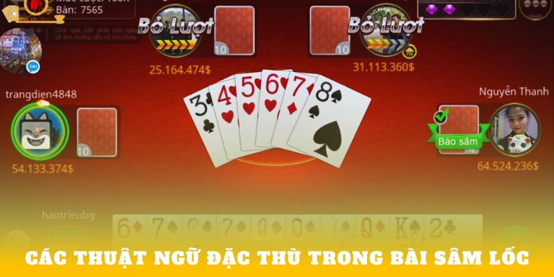Các thuật ngữ đặc thù trong bài Sâm Lốc